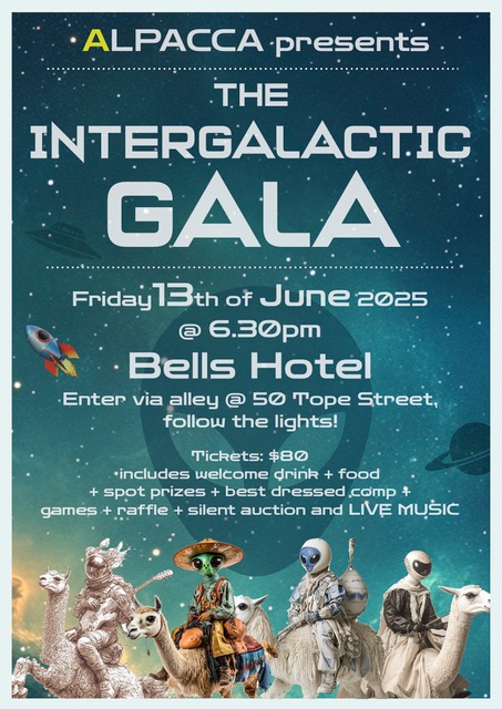 Intergalactic Gala